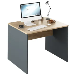 RIOMA TYP 12 kancelársky písací stôl grafit / artisan